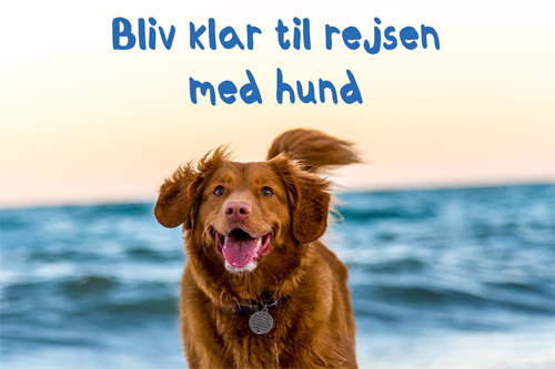 Faglige nyheder